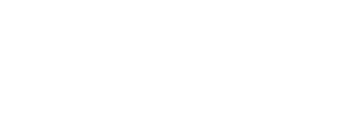 stitch witch logo