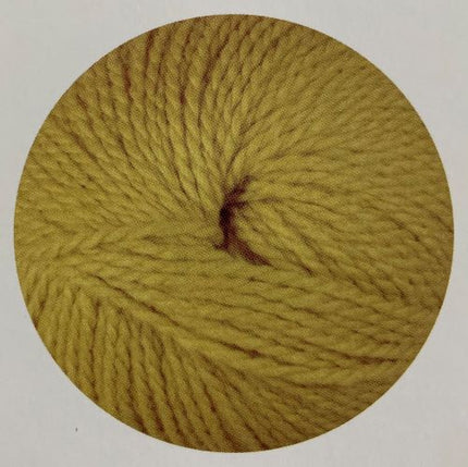 Stylecraft Softie Chunky Zest 3985