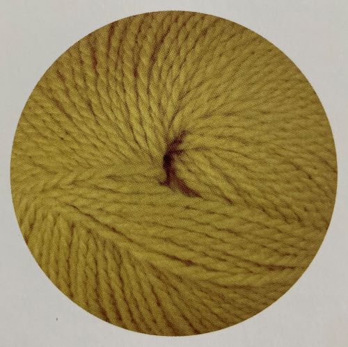 Stylecraft Softie Chunky Zest 3985