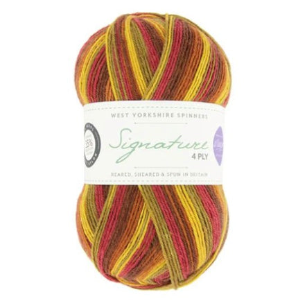 WYS Signature 4ply Winwick Mum Seasons Autumn Leaves 885