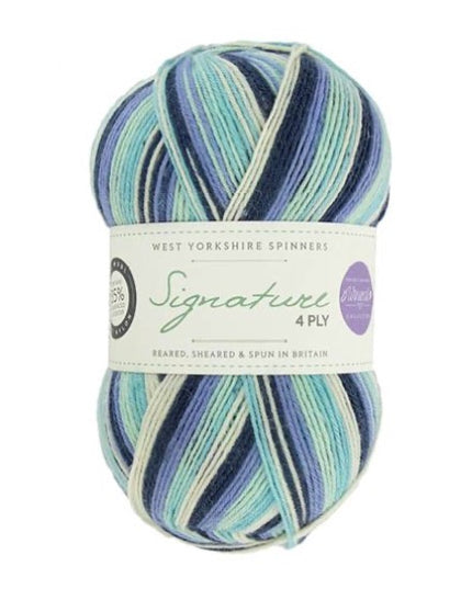 WYS Signature 4ply Winwick Mum Seasons Winter Icicle 878