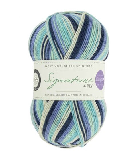 WYS Signature 4ply Winwick Mum Seasons Winter Icicle 878