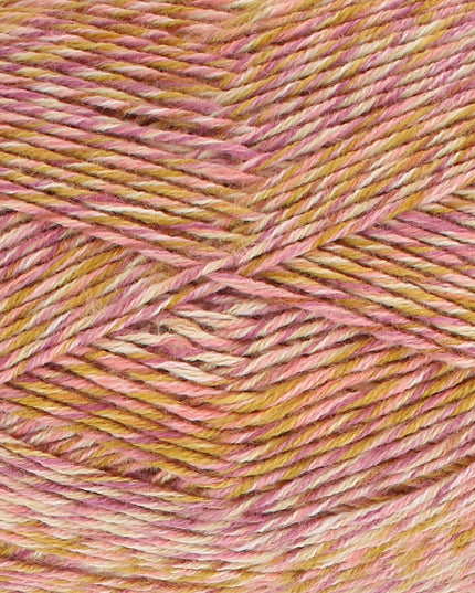 King Cole Jamboree DK Sunset Soiree 6185