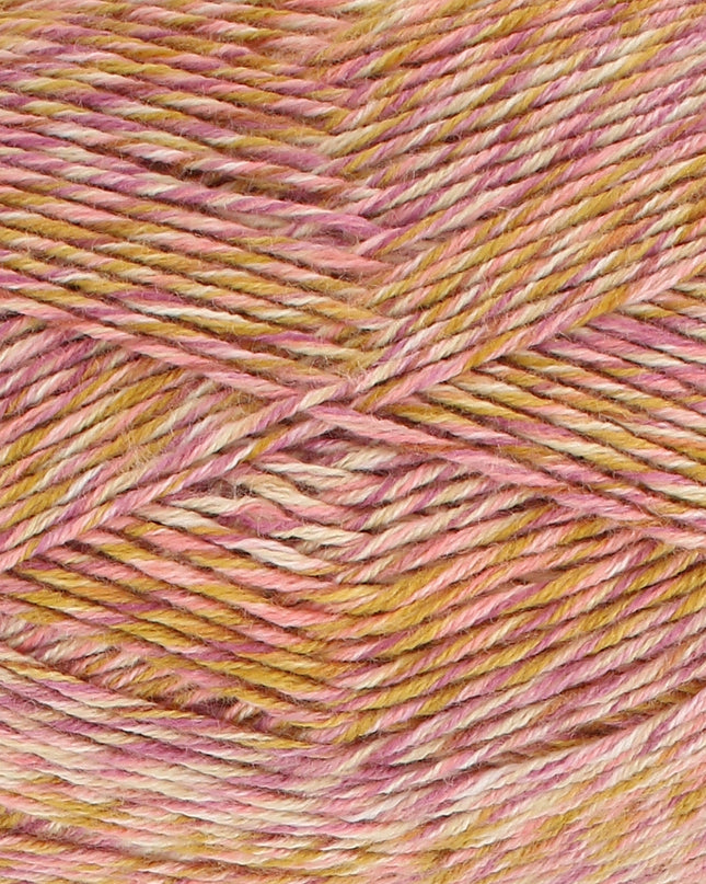 King Cole Jamboree DK Sunset Soiree 6185