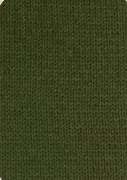 WYS The Croft DK Greenbank 404