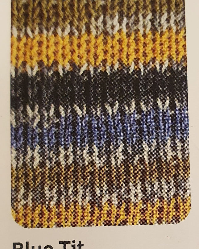 WYS Signature 4Ply Country Birds Blue Tit 818