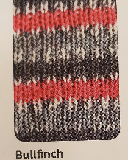 WYS Signature 4Ply Country Birds Bullfinch 861