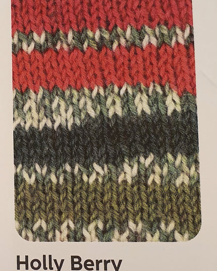 WYS Signature 4Ply Holly Berry 886