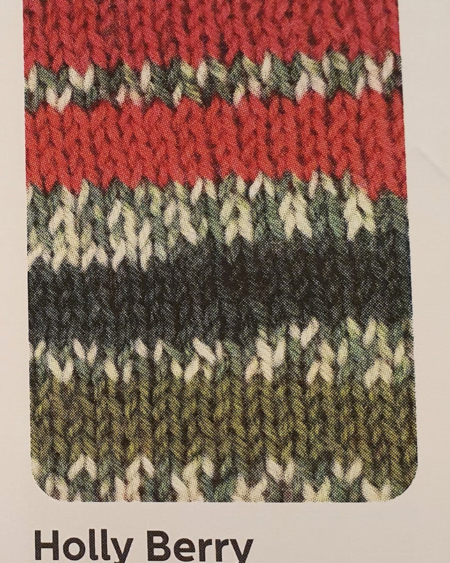 WYS Signature 4Ply Holly Berry 886