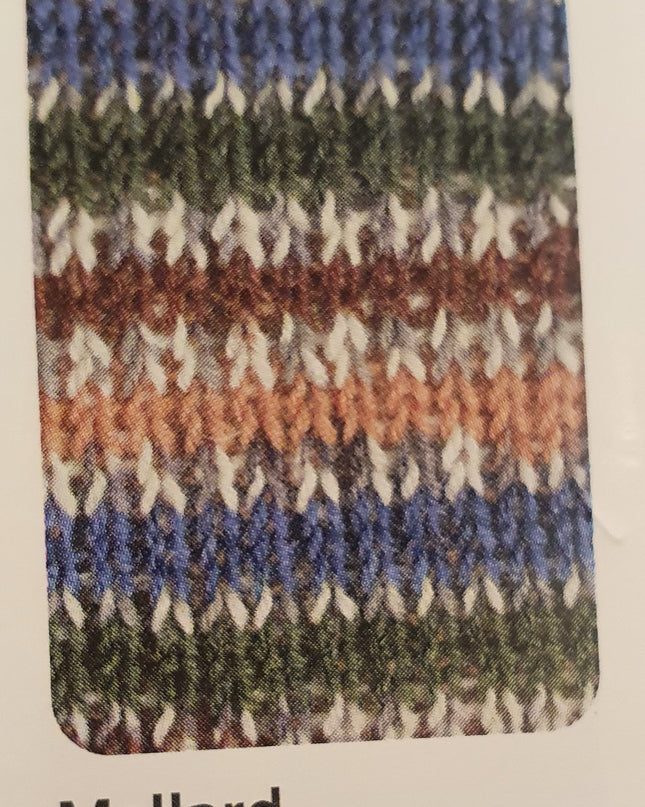 WYS Signature 4Ply Country Birds Mallard 862