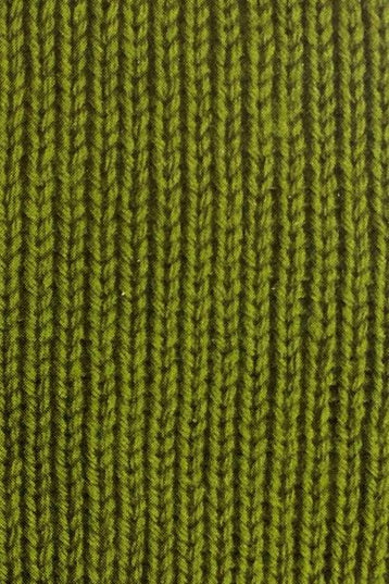 WYS ColourLab DK Pear green 186