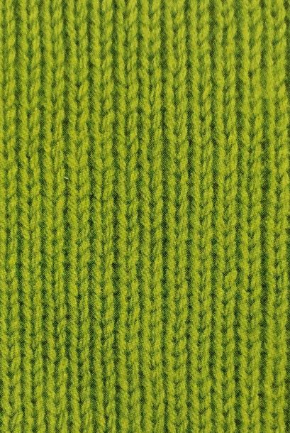 WYS ColourLab DK Lime Green 198