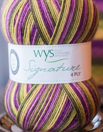 WYS Signature 4Ply Passion fruit cooler 811