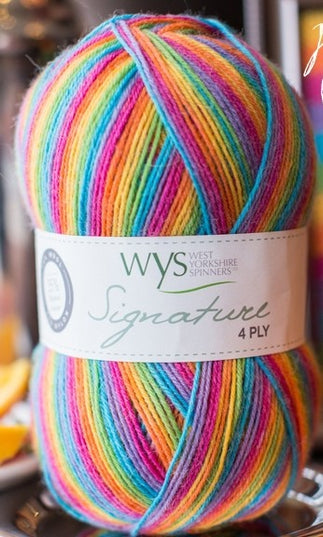 WYS Signature 4Ply Rum Paradise 822