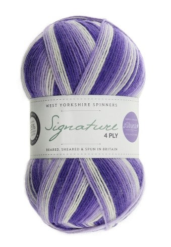 WYS Signature 4ply Winwick Mum Collection Hidden Gem 871