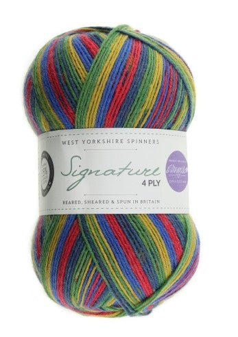WYS Signature 4ply Winwick Mum Collection Brightside 874