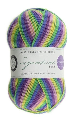 WYS Signature 4ply Winwick Mum Collection Wildflower 872