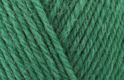 WYS  ColourLab DK Bottle Green 363