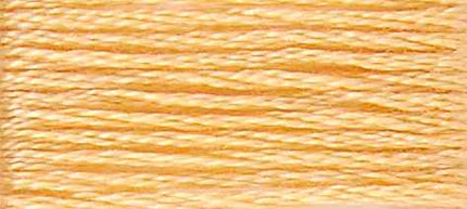 DMC Embroidery Thread Mouline Special 19