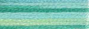 DMC Embroidery Thread Color Variations 4040