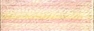 DMC Embroidery Thread Color Variations 4160