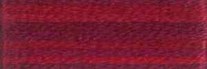 DMC Embroidery Thread Color Variations 4210