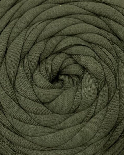 DMC Eco Vita Recycled T-Shirt Yarn Green