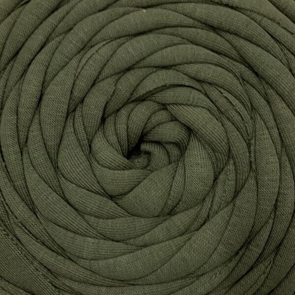 DMC Eco Vita Recycled T-Shirt Yarn Green