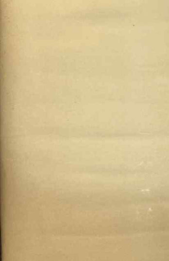 Fabric Plain Cotton CREAM