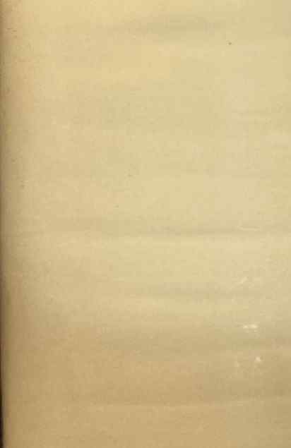 Fabric Plain Cotton CREAM