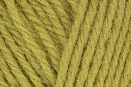 WYS Morris DK Artichoke 1283