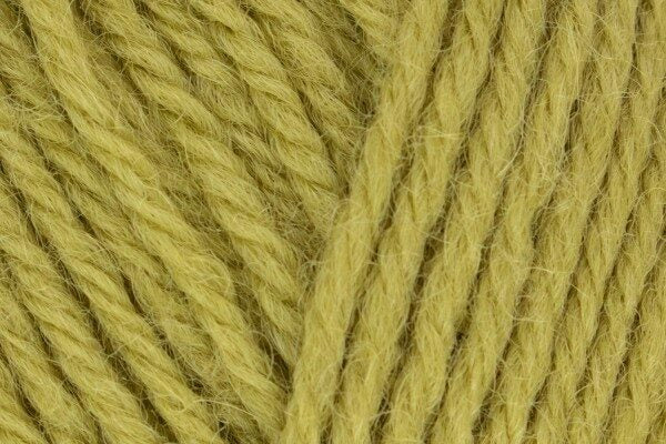 WYS Morris DK Artichoke 1283