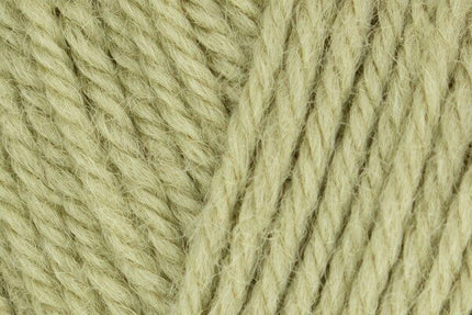 WYS Morris DK Orchard 1284
