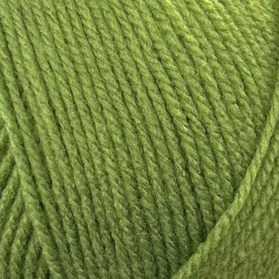 Stylecraft Special Dk Leaf 2176