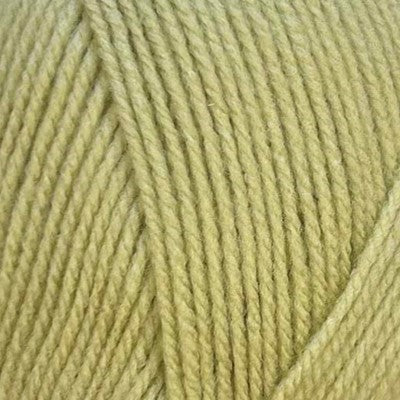 Stylecraft Special Dk Mushy Peas 2173