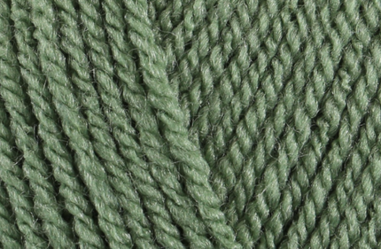 Stylecraft Special Dk Cypress 1824