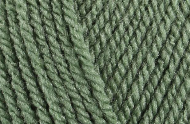 Stylecraft Special Dk Cypress 1824