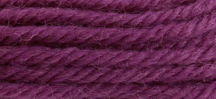 Anchor Tapestry Wool 8528