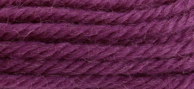 Anchor Tapestry Wool 8528