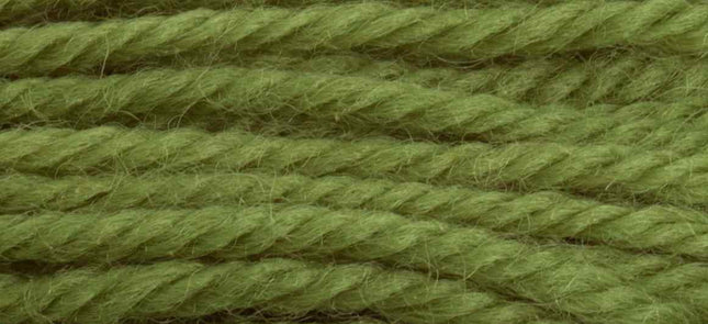 Anchor Tapestry Wool 9100
