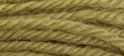 Anchor Tapestry Wool 9260