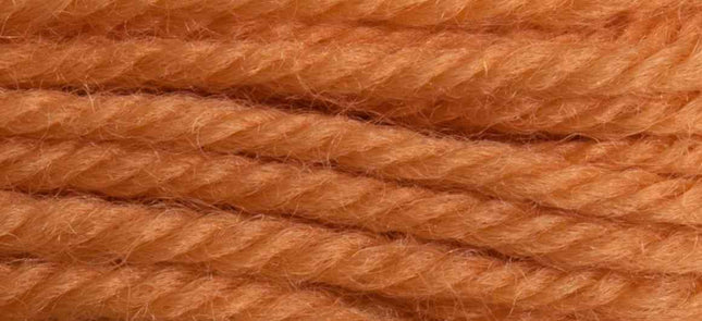 Anchor Tapestry Wool 9524