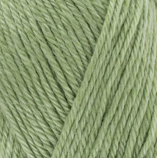 WYS Elements Dk Cool Aloe 1102