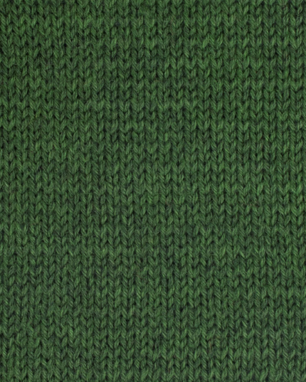 WYS Fleece Bluefaced Leicester Dk Forest 1039