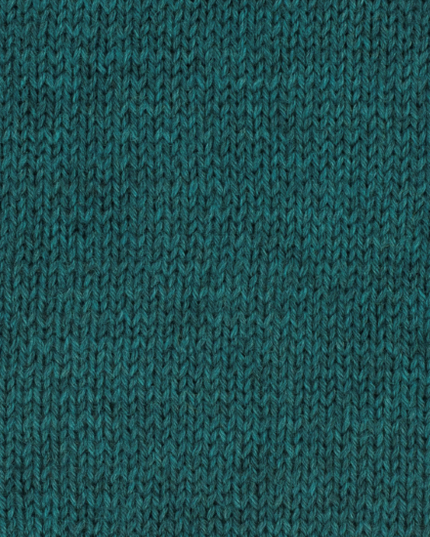 WYS Fleece Bluefaced Leicester Dk Brook 1040
