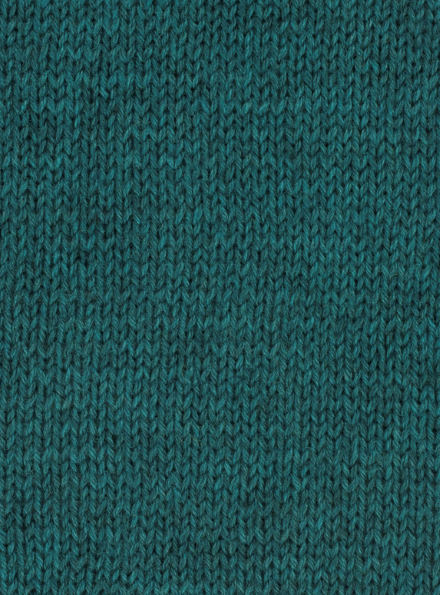 WYS Fleece Bluefaced Leicester Dk Brook 1040