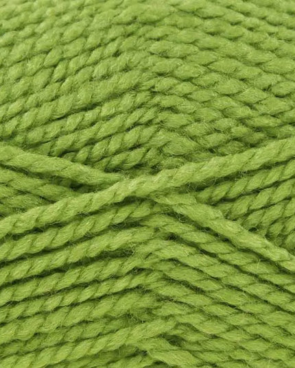 King Cole Big Value Chunky Moss 548