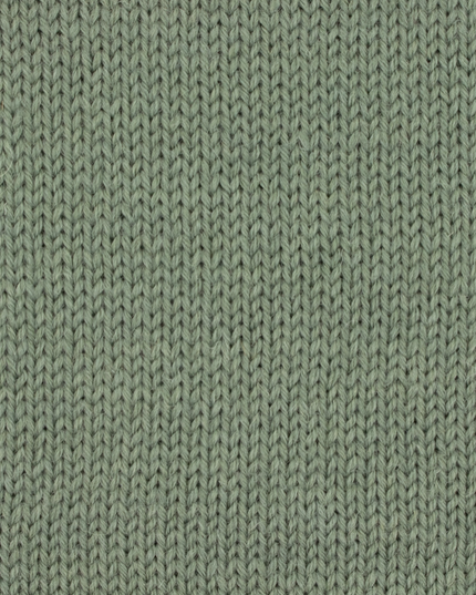 WYS Wool Revival DK Sage 1263