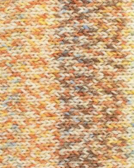 WYS Signature 4Ply The Butterflies Collection Tortoiseshell 1243
