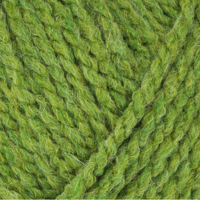 Stylecraft Softie Chunky Fern 2418